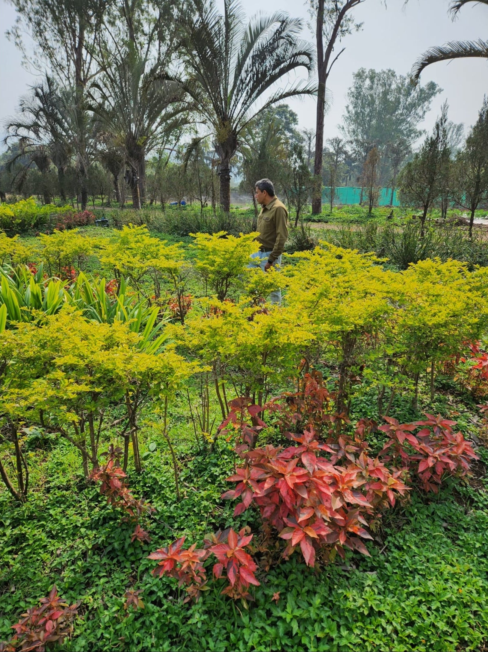 Man Behind The G-Shot