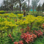 Man Behind The G-Shot