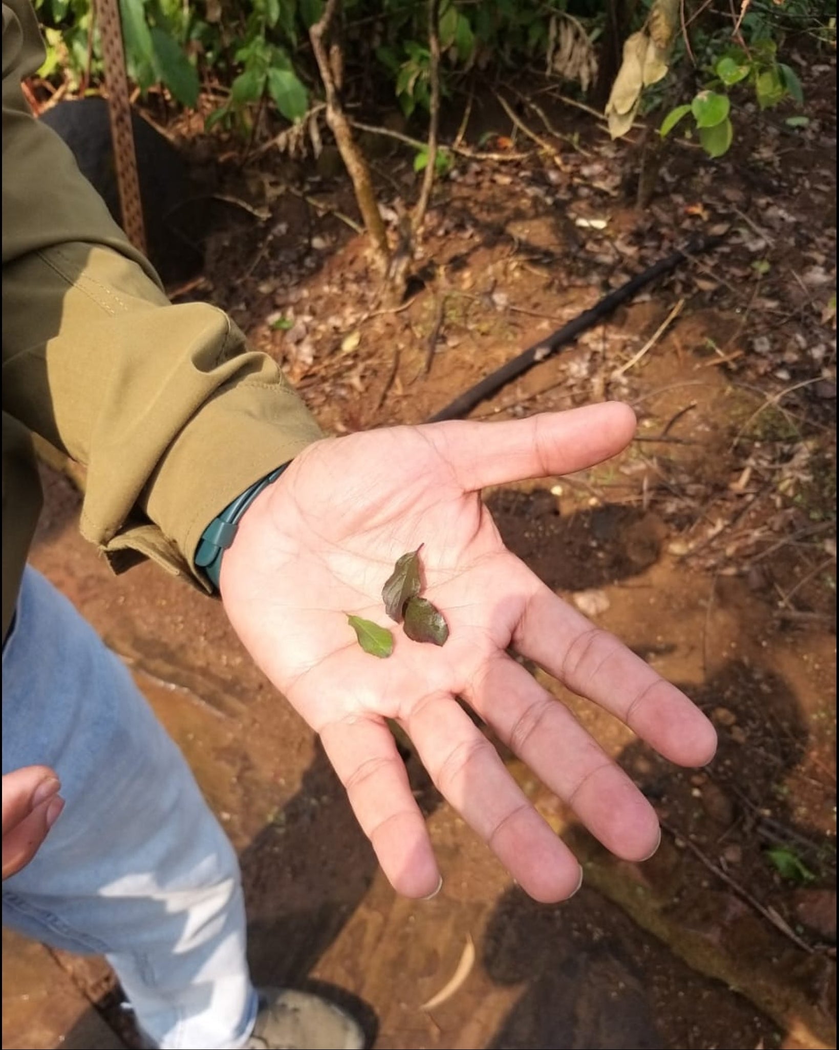 Man Behind The G-Shot