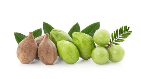 Triphala