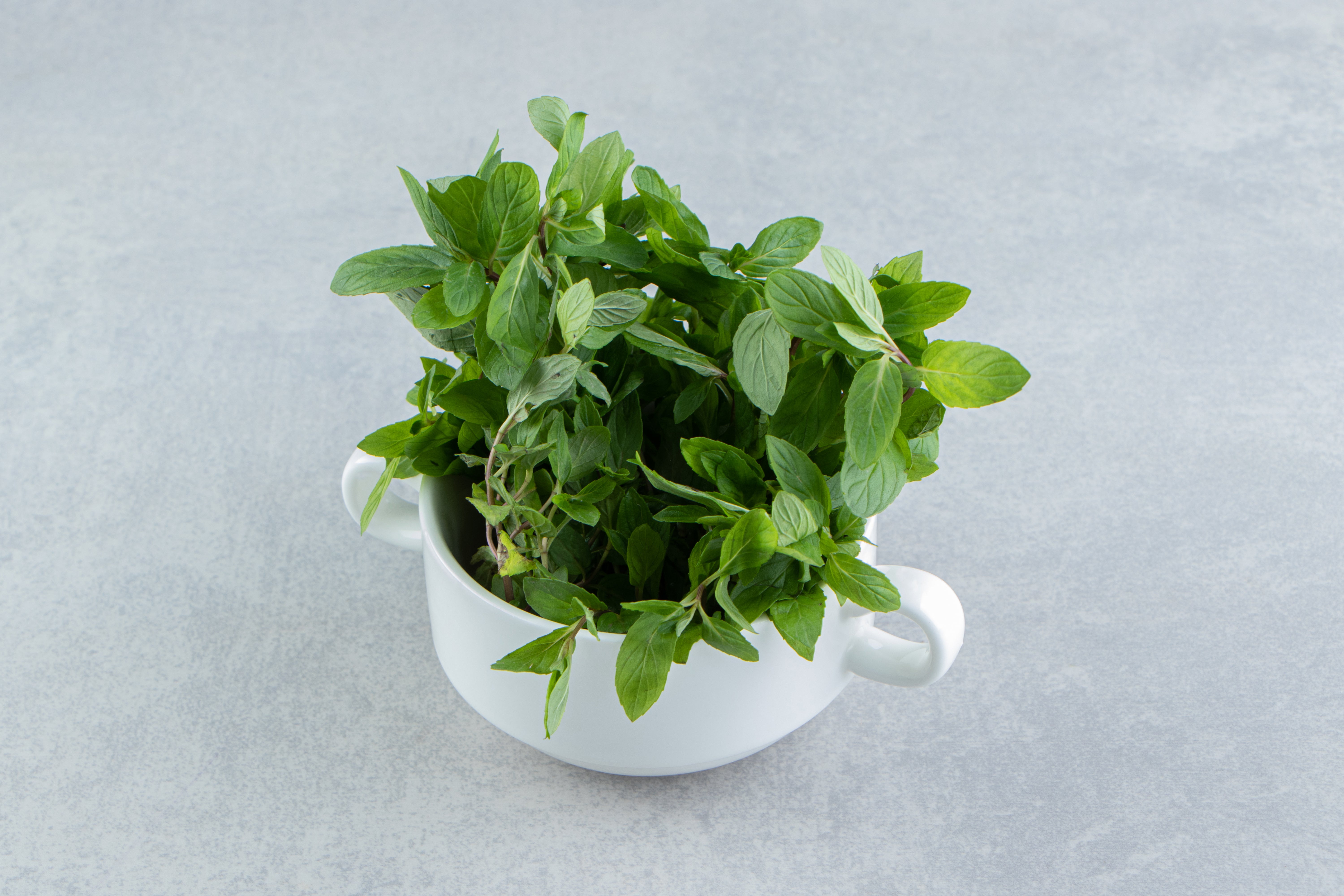 Brahmi